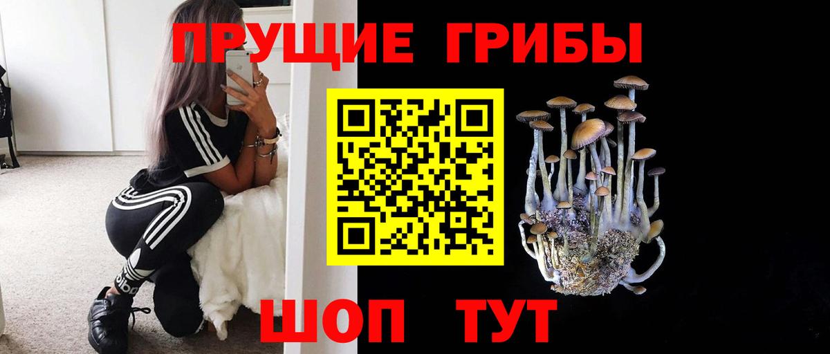 Псилоцибиновые грибы мицелий Троицк
