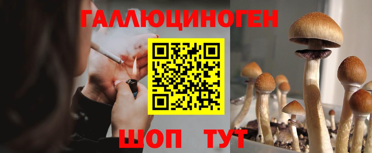 Псилоцибиновые грибы Psilocybine cubensis  Вход с VPN  Троицк 